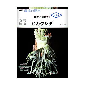 NHK趣味の園芸　12か月栽培ナビNEO　観葉植物　ビカクシダ　関東当日便