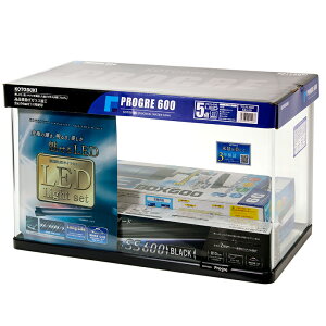 RguLH|@Zbg@vO600@5_@LED@֓