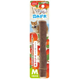 マルカン　歯みが木りんごの木　M　1本　関東当日便