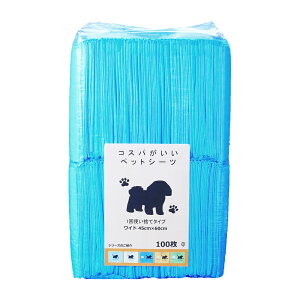 RXpybgV[c@1ĝă^Cv@Ch@100@֓