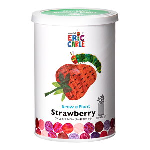 AEgbgi@V|@͂؂ނ@Ȃ悵͔|Zbg@ChXgx[@͔|Zbg@ƒ؉@Mtg@󂠂@֓