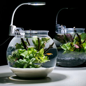 i߂jijy_JEZbg@S@zCg@t@{Bl