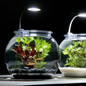 i߂jijy_JEZbg@M@ubN@t@{Bl