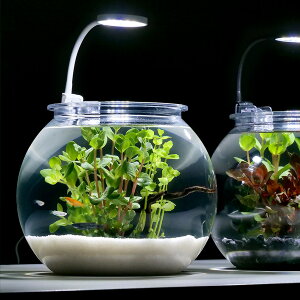 i߂jijy_JEZbg@M@zCg@t@{Bl