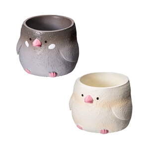 @gW|bg@@1|bgp@F܂@Jo[@֓