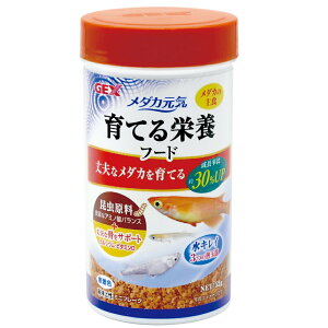 GEX@_JC@Ăh{t[h@52g@_J̉a@֓