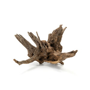 J~n^@`󂨔C@I[hEbh@M@ANAE@eE@p_E@CAEg@֓