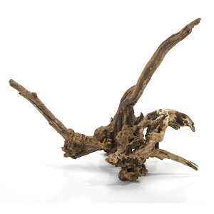 J~n^@`󂨔C@I[hEbh@L@ANAE@eE@p_E@CAEg@֓