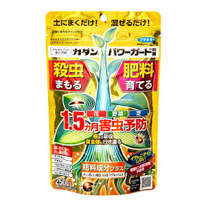 t}L[@p[K[h܁@250g@EƎ{삪1xɏoI@֓