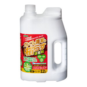 g\@KRȎG΂₭͂炷܁@V[^Cv@2D2L@֓