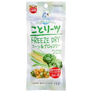 }J@Ƃ[c@R[ubR[@12g@֓