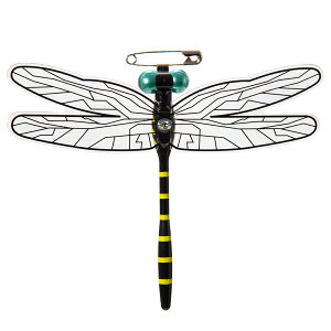 AEgbgi@悯@ɂ܌N@E܁Eܕsgp@󂠂@֓