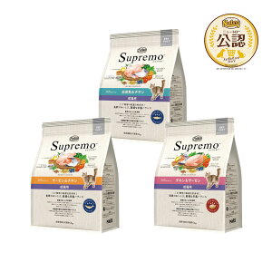 j[g@L@Vv@Lp@2kg@3e1܁@t[h[e[VZbg@֓