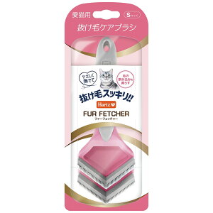 AEgbgi@n[c@t@[tFb`[@Lp@STCY@󂠂@֓