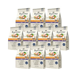 j[g@L@Vv@Lp@T[`L@400g×10܁@Lbgt[h@ll1_@֓