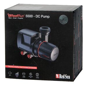 �A�E�g���b�g�i�@���b�h�V�[�@Reef�@Run�@5500�@DC�|���v�@�󂠂�i�@�֓�������