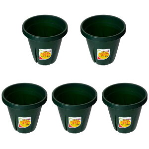 @avX`bN@͂蔫@4@_[NO[@5@֓