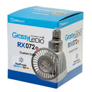 {NXWp@Grassy@LeDio@RX072e@ReefPurple@@Cg@Ɩ@֓