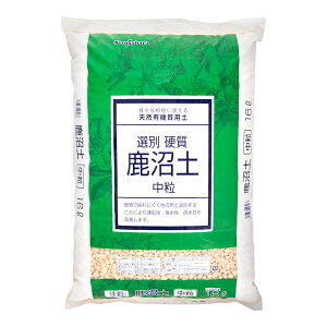 y@˃ԉ@Iʍdy@@16L@֓