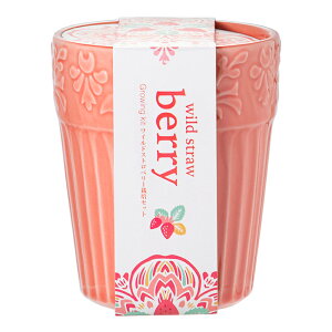 V|@{^jJ|bg@ChXgx[@͔|Zbg@ƒ؉@Mtg@֓