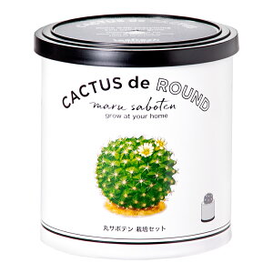 V|@JN^X@de@JN^X@ۃT{e@͔|Zbg@ƒ؉@Mtg@A@֓