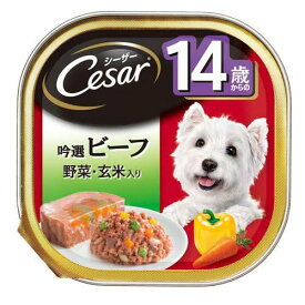ボール売り　シーザー　14歳からの吟選ビーフ　野菜入り　100g　1ボール24個　ドッグフード　関東当日便
