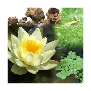 irIg[vji߂jrIAƃ_JZbg@@iXCj@@ȂZbg@{Bl