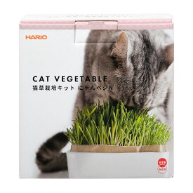 ハリオ　猫草栽培キット　にゃんベジ　セットN　関東当日便
