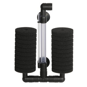 JUN@Plus@One@X|WtB^[@CS80@80Lȉp@֓