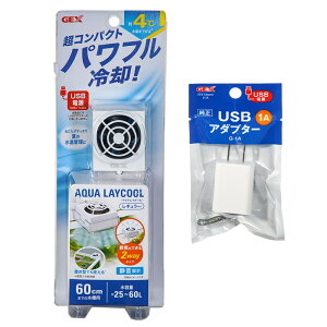 GEX@ANACN[@M[@USBA_v^[̂܂t@pt@@N[[@֓