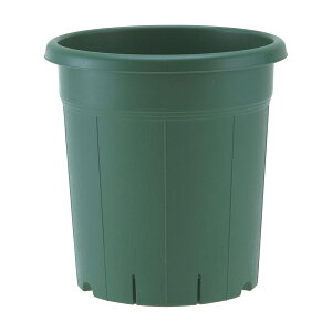 Xbg@AbvEFA[@o@10@O[@֓