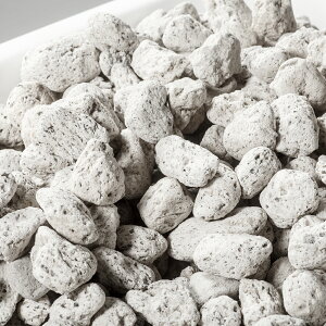 NoD167@WhiteVolcano@X[@1bg@ށ@΁@֓