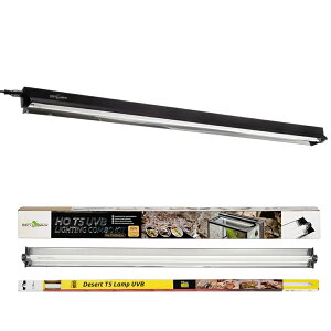 OW@REPTIZOO@T5@UVB10D0@@39WJo[R{Lbg@OCg@UVCg@@֓