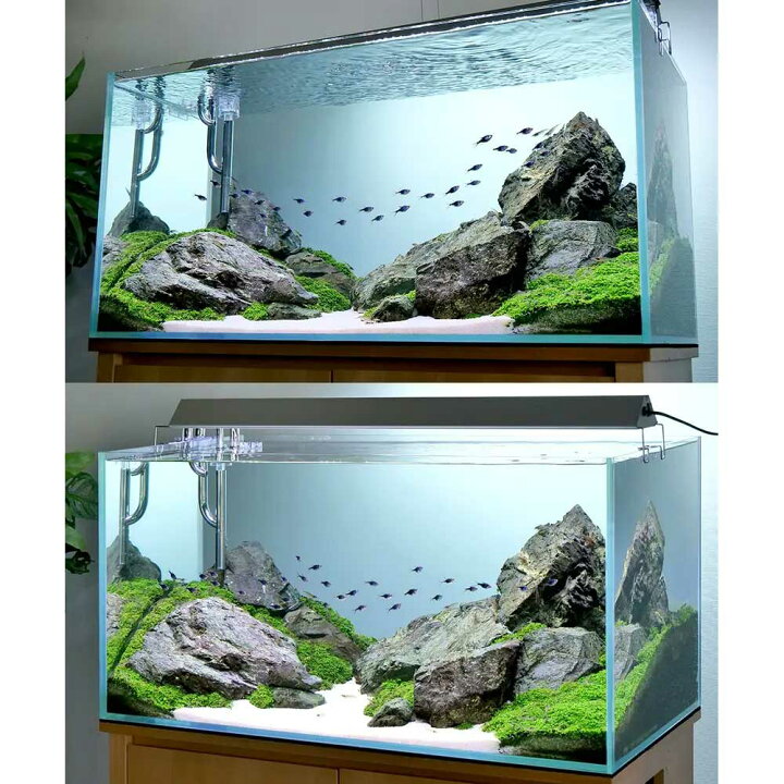楽天市場】45cm水槽ライトセット アクロ45N（45×27 