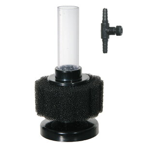 ANAVXe@vWFNgtB^[@BS@mini@זځ@֓