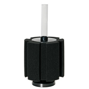 ANAVXe@vWFNgtB^[@BS@L@זځ@֓