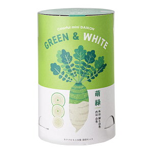 聖新陶芸 カラフルミニ大根 萌緑 キッチンガーデン 栽培セット 家庭菜園 ギフト 関東当日便