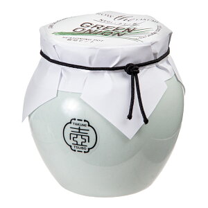 アウトレット品 聖新陶芸 TSUBO ねぎ 栽培セット 家庭菜園 ギフト 和風 訳あり 関東当日便