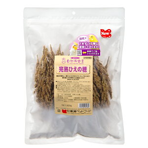 ybgt[h@Rh錾@nЂ̕@200g@@@nX^[@X@֓