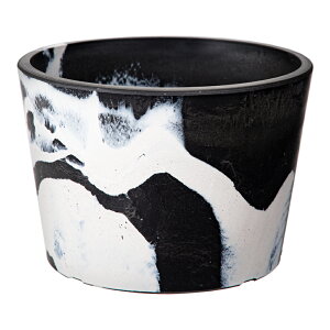 @VeB[g@S@MIX@a15×10cm@Ȃ@A@T{e@֓