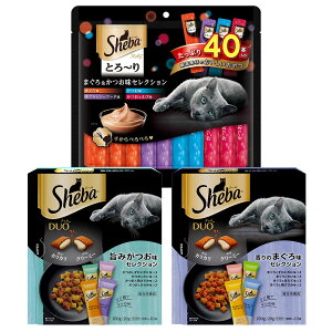 IׂV[oZbg@NґɁ@Ƃ`胁eB@܂끕ZNV@40{{fI@2@Lbgt[h@L@֓