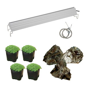 ijR΂ƃL[op[OXCAEgZbgi_j{ANLED@GROW600@60cmp@{Bl