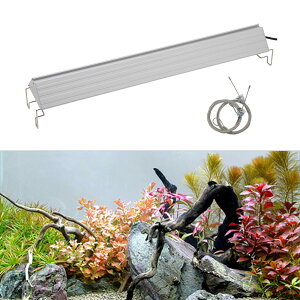 ij̒̍gtZbgitji_j{ANLED@GROW600@60cmp@{Bl