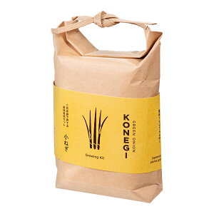 V|@TSUTSUMI@˂@͔|Zbg@ƒ؉@Mtg@֓