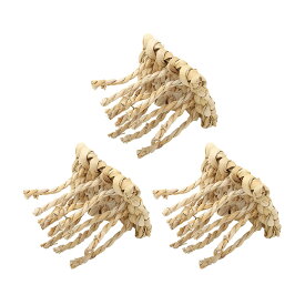 川井　バナナdeたこ足×3個　関東当日便