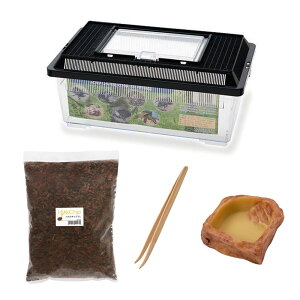 奇蟲飼育スターターセット 多湿環境 昆虫 飼育セット 関東当日便