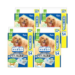 GG[@L~@ptLV[g@Ch@54×4܁@ybgV[c@@֓