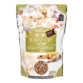 アウトレット品　アラタ　乾燥ミルワーム　爬虫類用　100g　訳あり　関東当日便