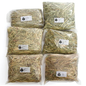 6ނ̖qZbgi100g×6ށj@`V[4EEAt@t@@@@ll6_@֓