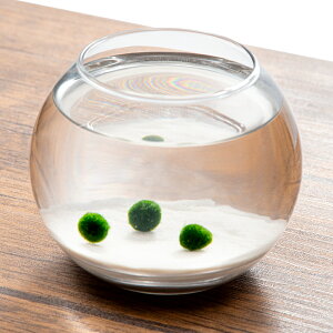 ij̏ȃANAE@`̃}`itj@{Bl